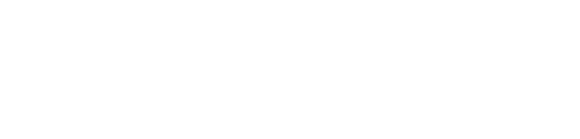 RECmint